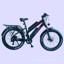 Outdoor sport and entertainment 48V 750W double battery electric bicycle